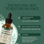 Lymphatic Drainage – Benefits Infographic