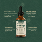 Lymphatic Drainage – Ingredient Callouts